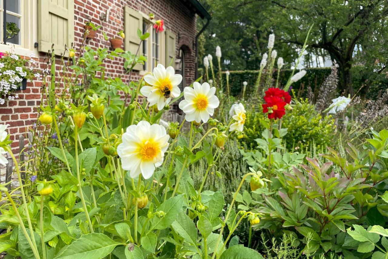 B&B De Paenhoeve Eksel Zewnętrze zdjęcie